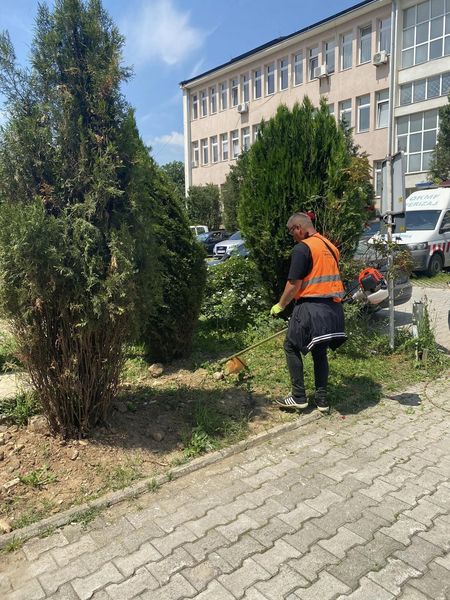 Foto 2
