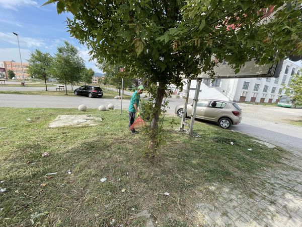Foto 3