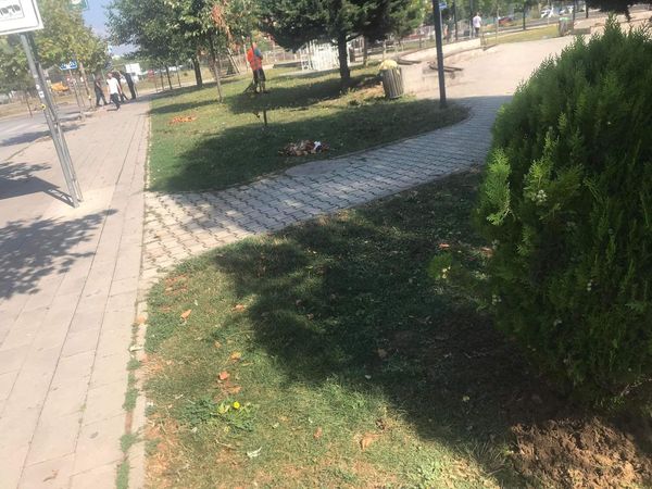 Foto 2