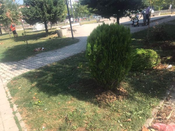 Foto 3