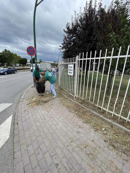 Foto 1