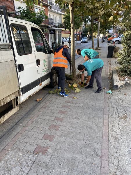 Foto 4