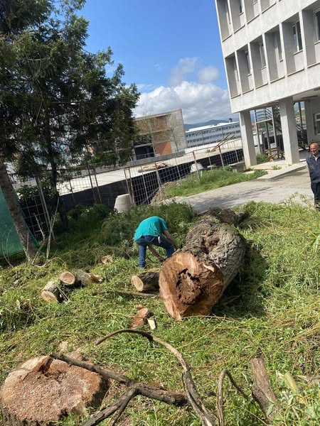 N.P.L "Ambienti" Sh.A vazhdon me përkushtim punën për mirëmbajtjen dhe pastërtinë e qytetit tonë!