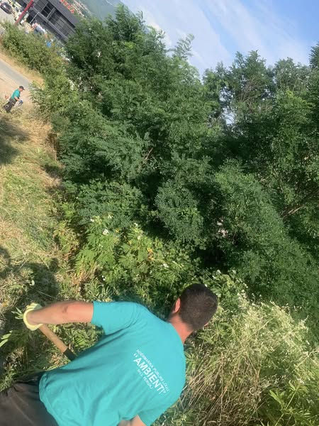 Me përkushtim dhe kujdes, ekipet tona kanë vazhduar angazhimin për mirëmbajtjen dhe pastërtinë e hapësirave publike! 🙌🌿