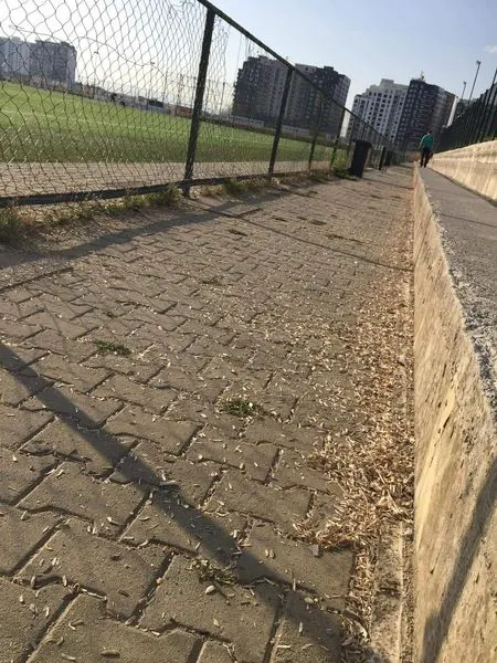 Qyteti ynë po shkëlqen më shumë falë përkushtimit të ekipit tonë!