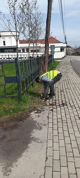 Punë dhe përkushtim nga N.P.L "Ambienti" Sh.A!