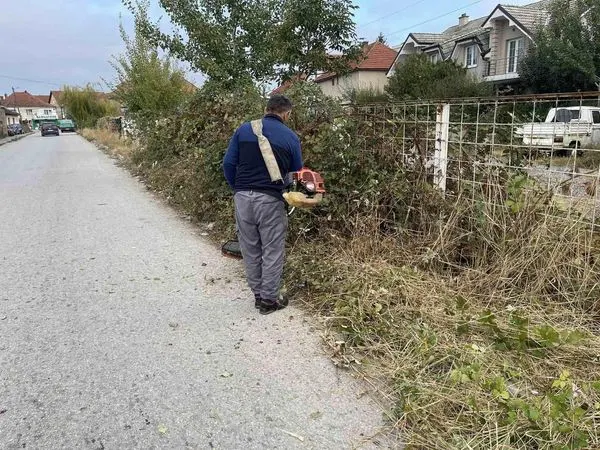 Punonjësit e NPL "Ambienti" kanë përfunduar aksionin për lirimin e trotuarit nga barishtet gjëmbore dhe barishteve tjera, përskaj Ndërmarrjeve Publike "Pastërtia" dhe  "Bifurkacioni".