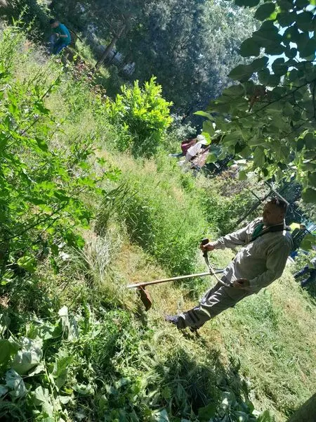 👷🏻‍♂️Punë vullnetare në mirëmbajtjen e oborrit në Gjimnazin "Shaban Hashani"