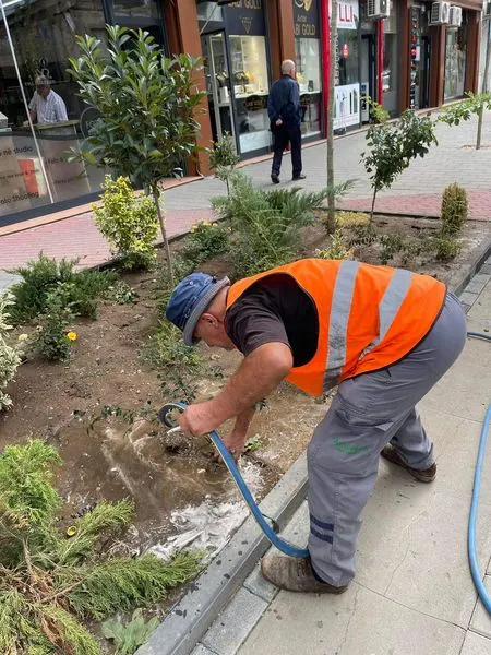 🚰💦Ujitja e hapësirave gjelbëruese dhe 🌳Drunjëve Dekorativ në Bulevardin "Dëshmorët e Kombit", dhe tek Sheshi "Tony Blair".