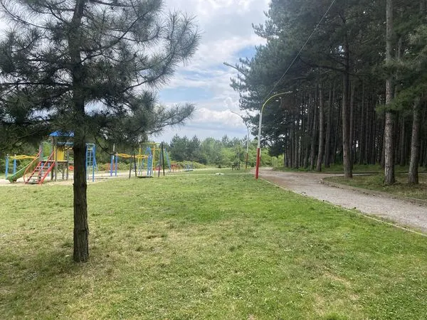 Mirëmbajtje dhe kujdesje e çdo ditëshme në Parkun Liria.
