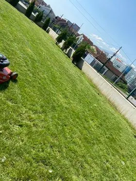 Kositja dhe pastrimi i hapësirës së gjelbërt te parku në rr. " Gursel dhe Bajram Sylejmani".