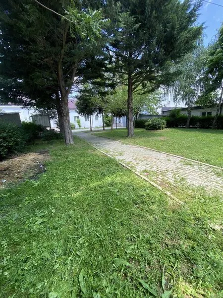 Mirëmbajtja e hapësirës gjelbëruese,kositja dhe pastrimi i barit në oborrin e "Qendrës së Vaksinimit"  dhe "Qendrën Kryesore të Mjekësisë Familjare". 🍀