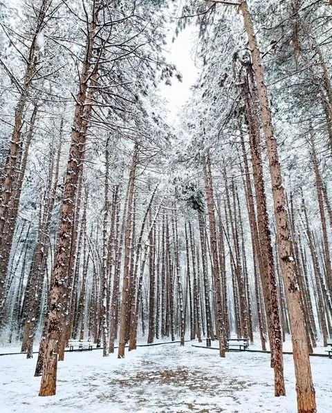 Bora e parë në Ferizaj!❄️