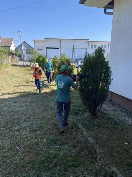 Ekipet e NPL "Ambienti", 👷🏻‍♂️🦺kanë bërë mirëmbajtjen e hapësirave gjelbruese♻️, kositjen e barit, 🍀rregullimin e drunjëve dekorativ 🌳 të Qendrës numër 4 të Mjekësisë Familjare në Ferizaj, oborri i së cilës tani ka një pamje mahnitëse.