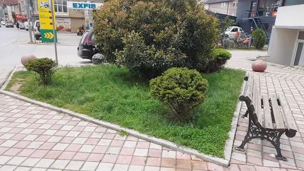 Kositja e barit ,mirëmbajtja e hapësirës së gjelbërt tek Lapidari "Agim Matoshi". 🍀