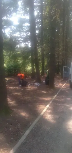 Pastrimi i mbeturinave te parku i pishave në fshatin Rahovic. 🌲