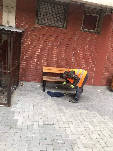 🏙️BANESAT KOLEKTIVE PUBLIKE.
