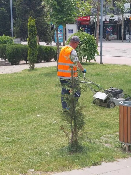 Kositja e barit,pastrimi i hapësirës së gjelbërt tek Lapidari "Hyrë Emini". 🍀