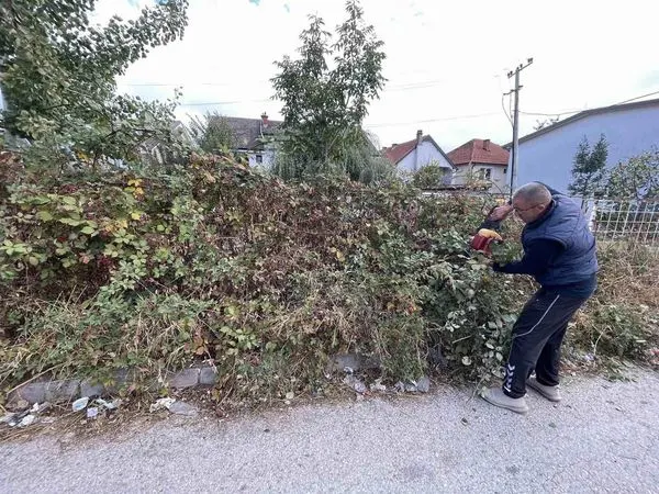 Punonjësit e NPL "Ambienti" kanë përfunduar aksionin për lirimin e trotuarit nga barishtet gjëmbore dhe barishteve tjera, përskaj Ndërmarrjeve Publike "Pastërtia" dhe  "Bifurkacioni".