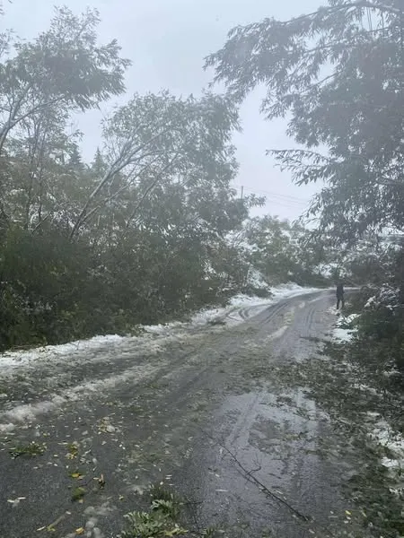 Edhe në ditët me borë punëtorët e NPL "Ambienti" Sh.A nuk u ndalën asnjë ças