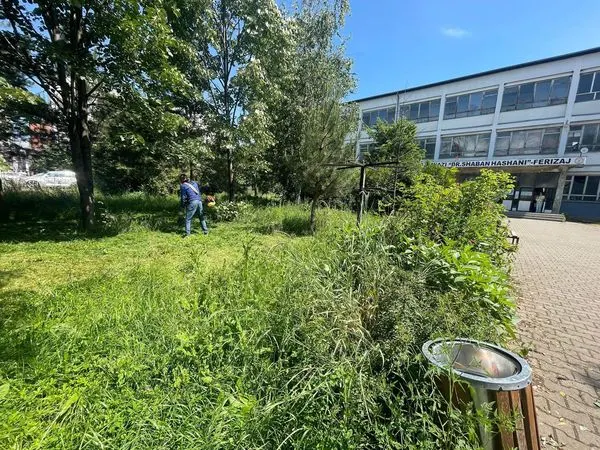 👷🏻‍♂️Punë vullnetare në mirëmbajtjen e oborrit në Gjimnazin "Shaban Hashani"