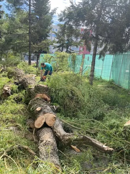 N.P.L "Ambienti" Sh.A vazhdon me përkushtim punën për mirëmbajtjen dhe pastërtinë e qytetit tonë!