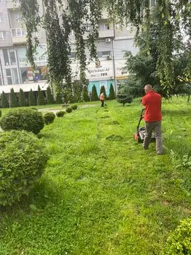 Kositja e barit ,pastrimi i hapësirës së gjelbërt tek Teatri "Adriana". 🍀