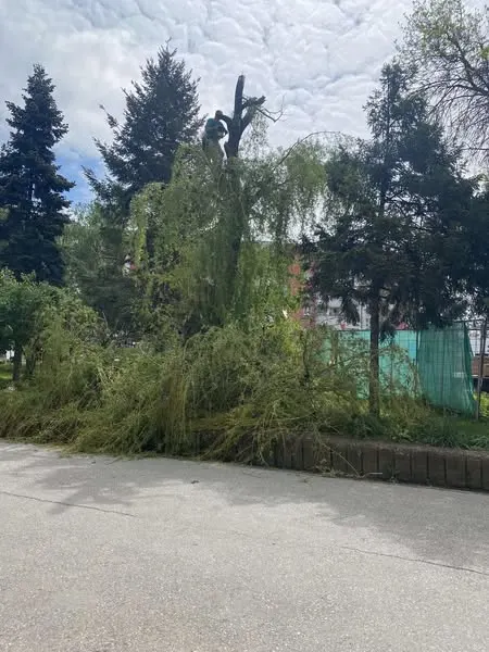 Skedari shtesë