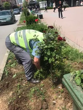 Pastrimi i barit dhe mihja e luleve dhe drunjëve dekorativ në rrugën "Dëshmorët e Kombit"