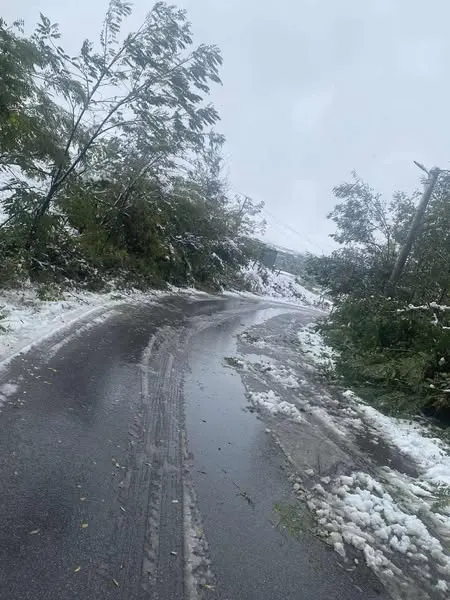 Edhe në ditët me borë punëtorët e NPL "Ambienti" Sh.A nuk u ndalën asnjë ças