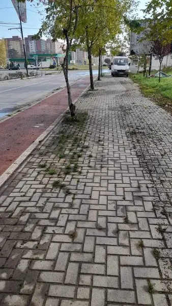 Pamje nga puna në teren!