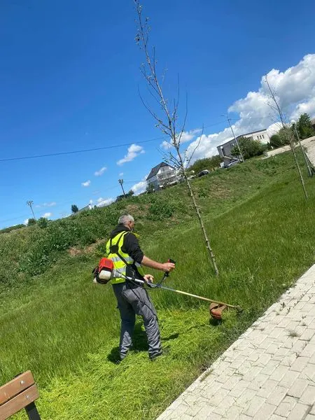 Parkun në fshatin Dardani.