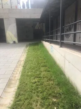 Pastrimi dhe kositja e barit në hapsirat e gjelbërta te nënkalimi i qytetit.