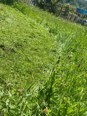 Kositja e barit dhe pastrimi i hapësirës gjelbëruese tek Lapidari i Dëshmorëve"Naim Sh.Beka,Ahmet H.Hoxha,Qamil M,Osmani"dhe Pllaka e Martirëve , në fshatin Pleshin.