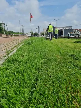 Kositja e barit dhe pastrimi në hapësirat e gjelbërta tek "Varrezat e Dëshmorëve". 🍀