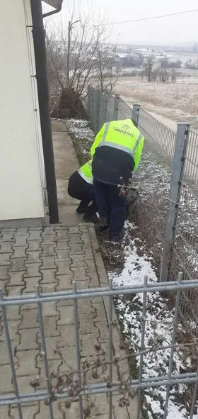 Mirëmbajtja e hapësirës tek AMF në fsh.Mirash dhe Parku i Pishave Rahovic.