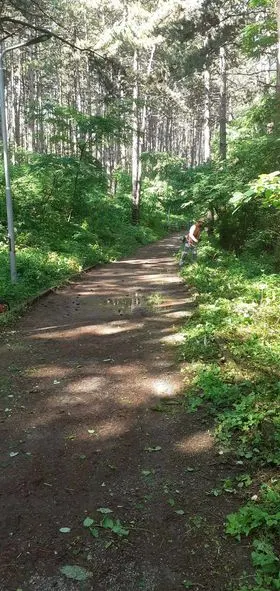 Pastrimi i mbeturinave në hapësirën e gjelbërt tek parku i pishave "Liria". 🍀