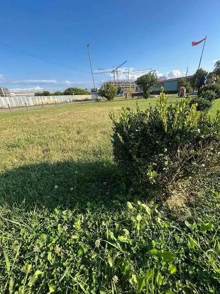 Largimi i mbeturinave, mirëmbajtja e hapësirës së gjelbërt në parkun tek Lapidari "Driton Islami".