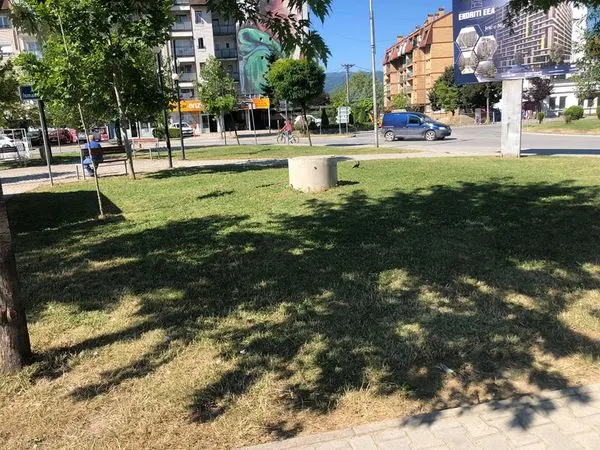 Mirëmbajtja e hapësirave të gjelbërta , kositja dhe pastrimi i barit tek sheshi "Ismail Kadare" . 🍀