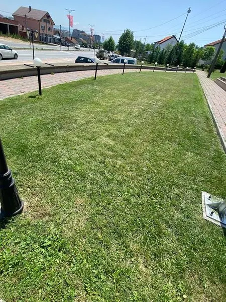 Mirëmbajta ,kositja e barit dhe pastrimi i hapësirës së gjelbërt tek "Varrezat e Dëshmorëve". 🍀