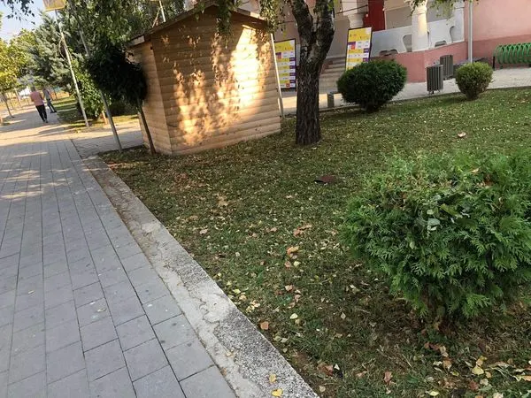 Me këto pamje tek Teatri "Adriana", ju dëshirojmë një vikend të mbarë për të gjithë qytetarët.