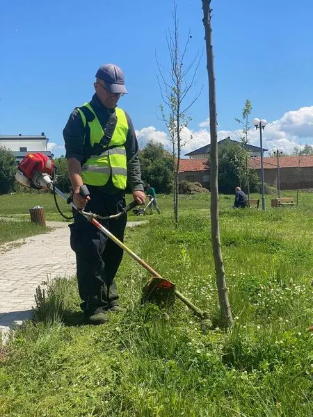 Parkun në fshatin Dardani.