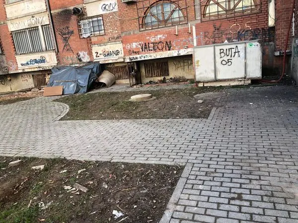 🏙️BANESAT KOLEKTIVE