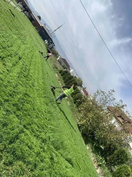 Punë e shkëlqyer nga ekipi ynë i palodhur në Talinoc!🌿
