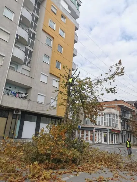 Skedari shtesë