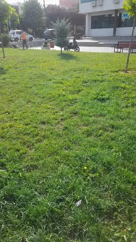 Mirëmbajtja e hapësirës së gjelbërt , kositja dhe pastrimi i barit tek sheshi "Adem Jashari". 🍀