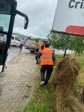 Kositja dhe pastrimi i hapësirës gjelbëruese në rr. "Brahim Ademi". 🍀