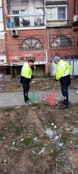 BANESAT KOLEKTIVE