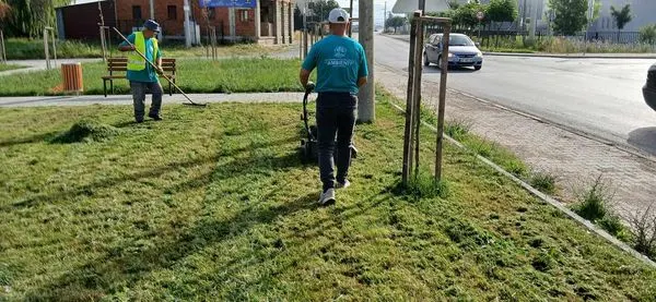 Skedari shtesë