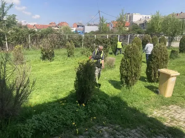 Punë e kryer me sukses!